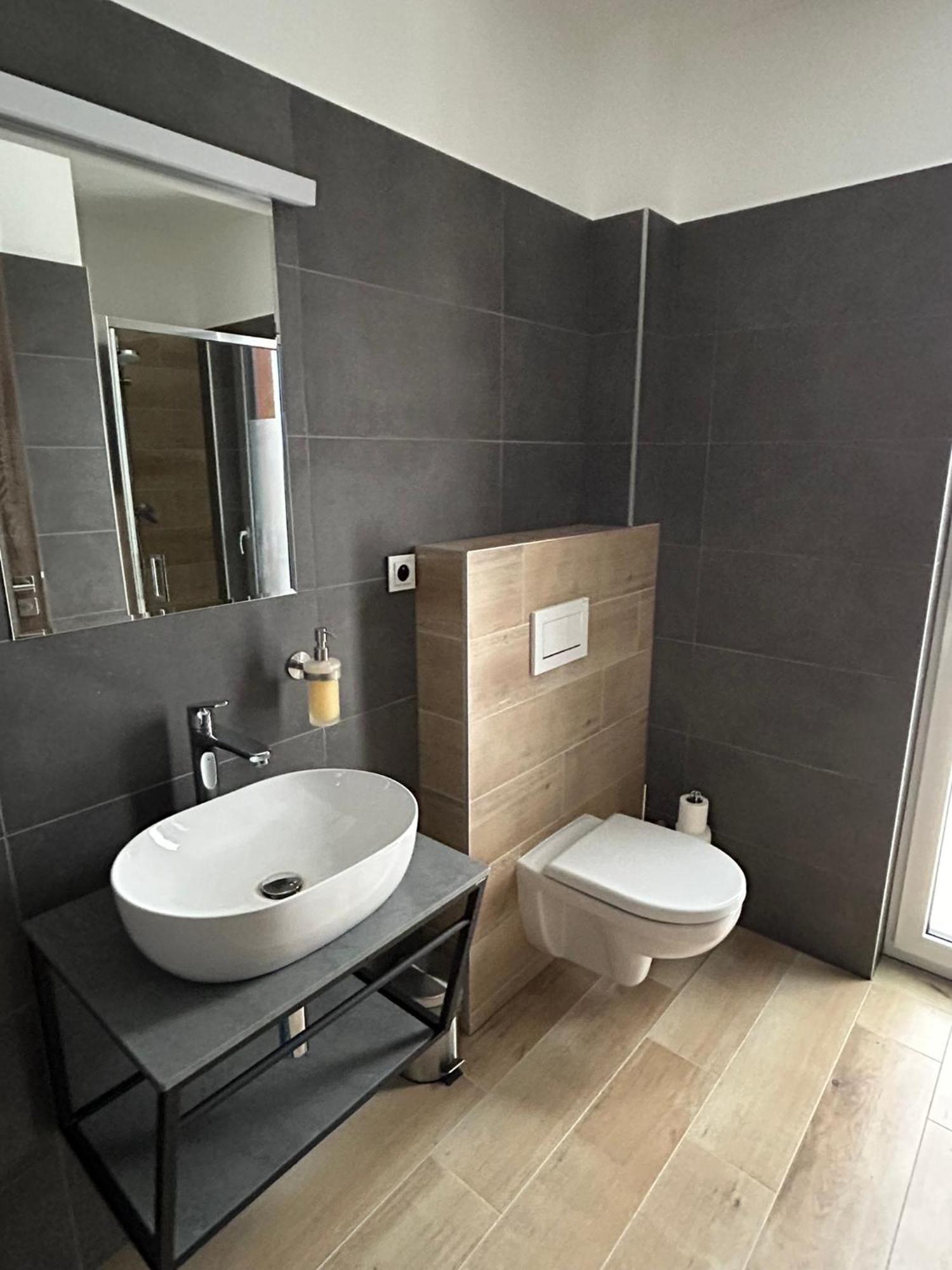 Horsky Dum Vojta Apartment Рокитнице над Ийзероу Екстериор снимка
